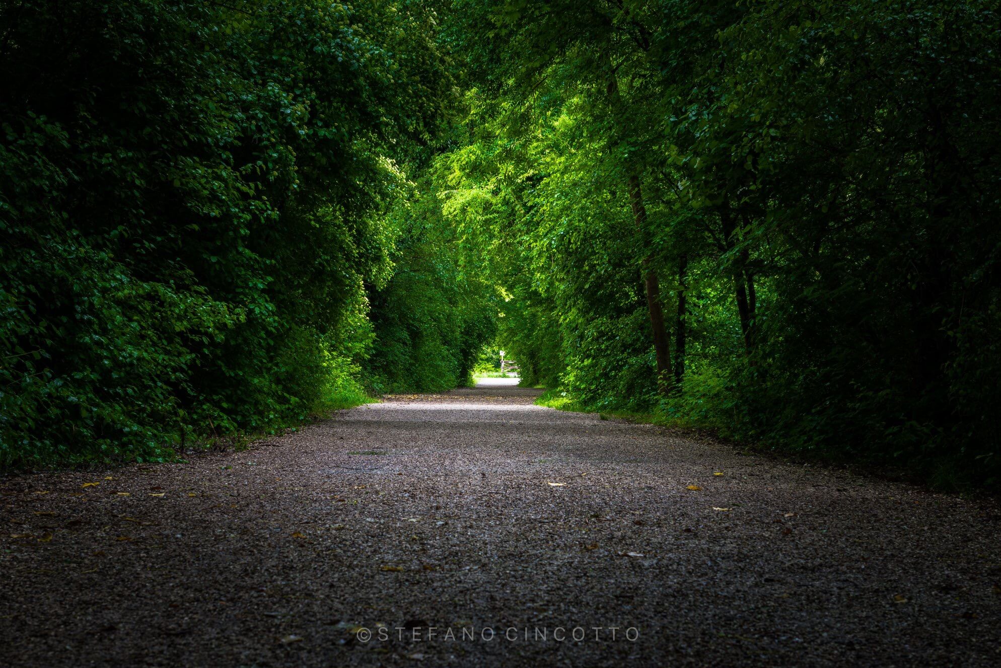 Roberta Milan Immobiliare