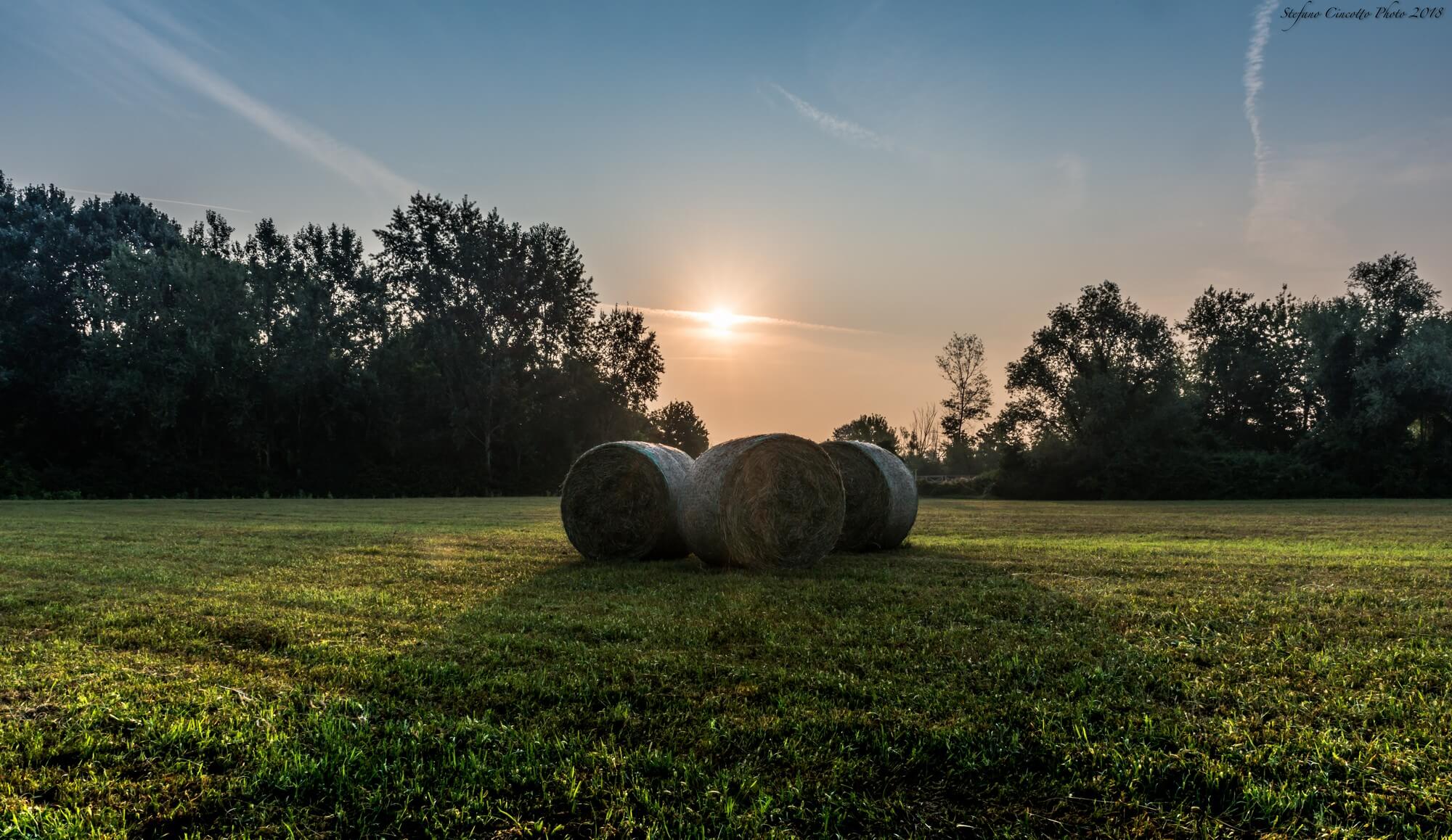 Roberta Milan Immobiliare