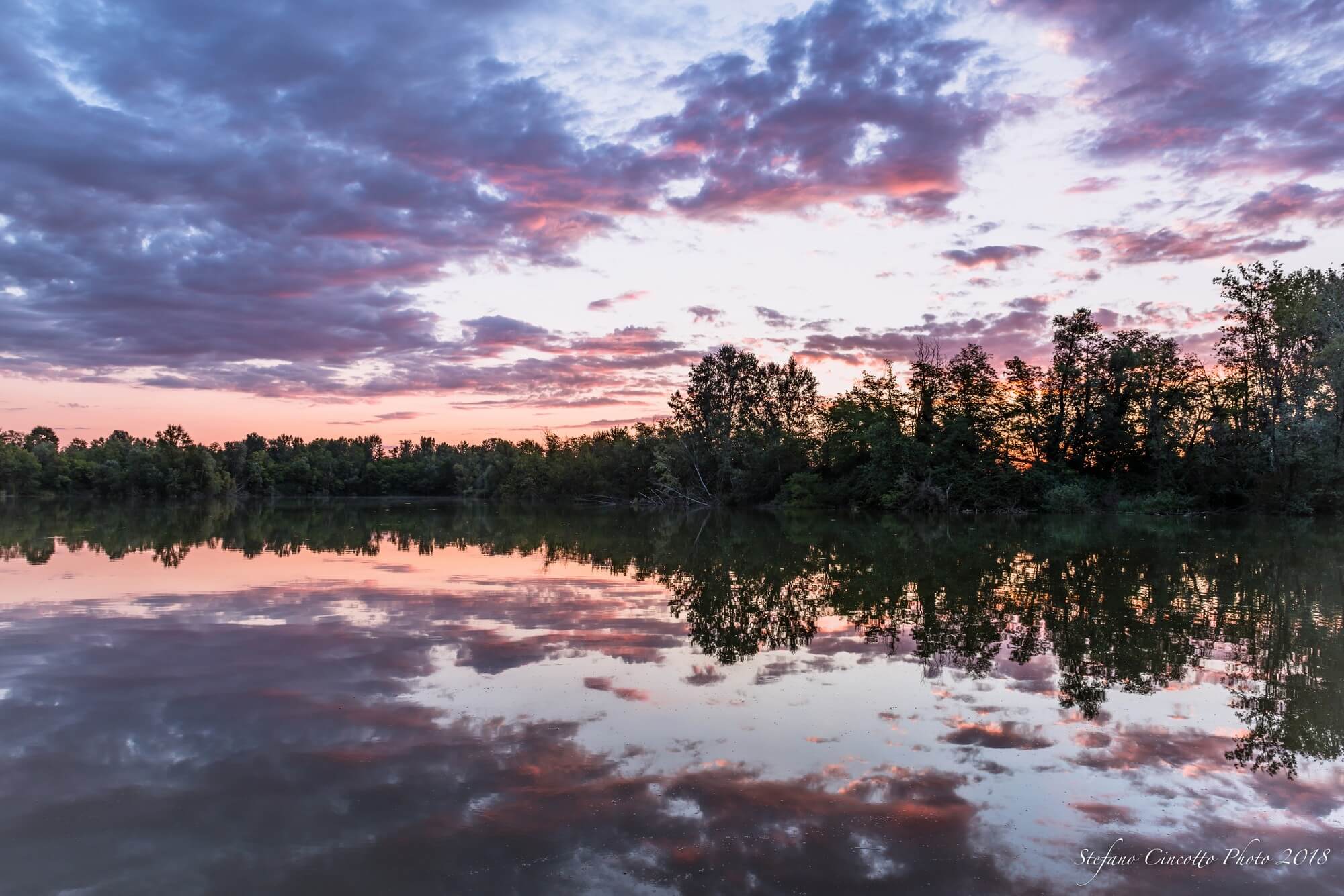 Roberta Milan Immobiliare