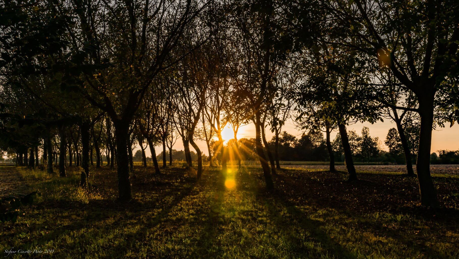 Roberta Milan Immobiliare